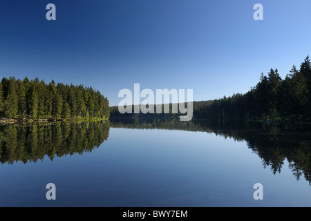 Oderteich, Sankt Andreasberg, Goslar, Harz, Bassa Sassonia, Germania Foto Stock