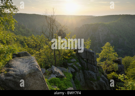 Gola di Bode, Thale, Harz District, Sassonia Anhalt, Germania Foto Stock