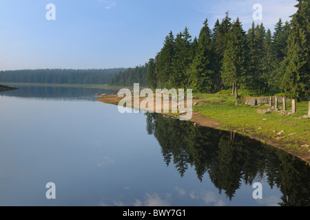 Oderteich, Sankt Andreasberg, Goslar, Harz, Bassa Sassonia, Germania Foto Stock