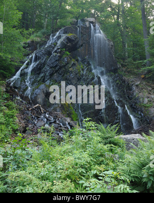 Cascata Radau, Bad Harzburg, Goslar, Harz, Bassa Sassonia, Germania Foto Stock