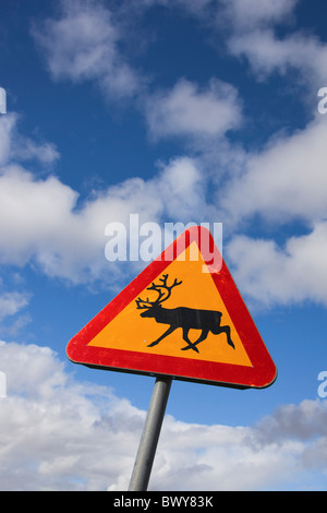 Segnale di avvertimento per indicare le renne, Svezia Foto Stock