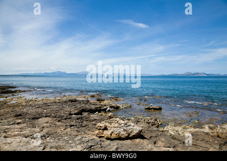 Colonia de Sant Pere, Maiorca, isole Baleari, Spagna Foto Stock