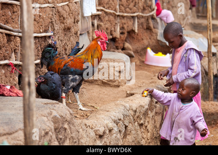 Gallo e le ragazze a giocare nella baraccopoli di Kibera, Nairobi, Kenia Foto Stock