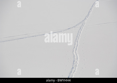 Stati Uniti d'America, Wyoming. Parco Nazionale di Grand Teton. Dettaglio del lago Jackson con le piste per lo sci di fondo nella neve. Foto Stock