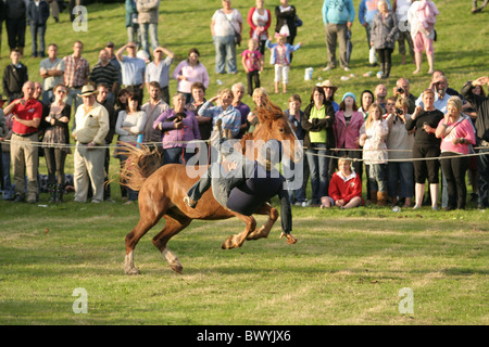 Cavaliere cade fuori di rodeo pony, Llanthony, Wales 2010 Foto Stock