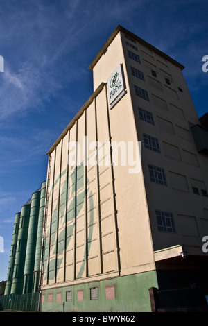 La Rank Hovis ha mulino e silos per il grano, Trafford Park, Manchester , Regno Unito Foto Stock