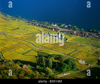 Il cantone di Berna al lago di Bienne lago mare Ligerz autunno foto aerea vista aerea vigneti Svizzera Europa Foto Stock