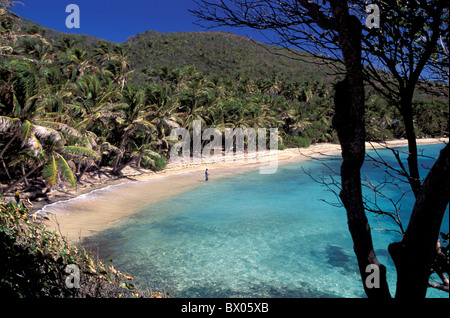 Spiaggia della Baia di costa Bequia Grenadines industria panoramica baia di palme riva del mare dei Caraibi Foto Stock