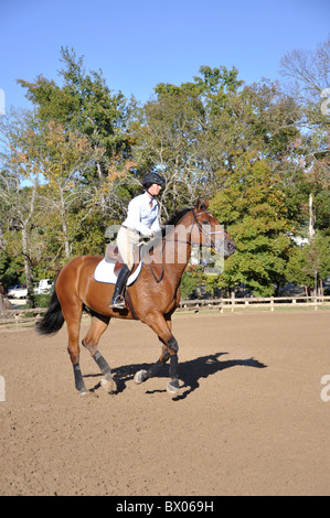 Competizione equestre tra la gioventù, Tyler, Texas, Stati Uniti d'America Foto Stock