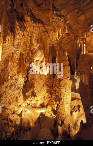 Australia grotta all'interno di guida Jenolan Caves Reserve leader del Nuovo Galles del Sud nessun modello di rilascio ranger Stalagmite Foto Stock