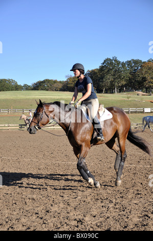 Competizione equestre tra la gioventù, Tyler, Texas, Stati Uniti d'America Foto Stock