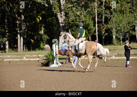 Competizione equestre tra la gioventù, Tyler, Texas, Stati Uniti d'America Foto Stock