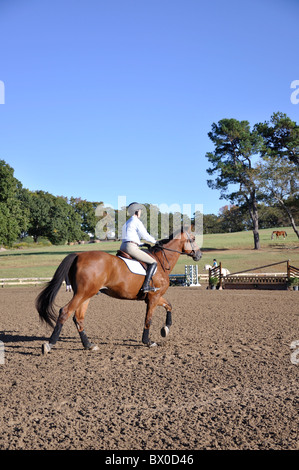 Competizione equestre tra la gioventù, Tyler, Texas, Stati Uniti d'America Foto Stock