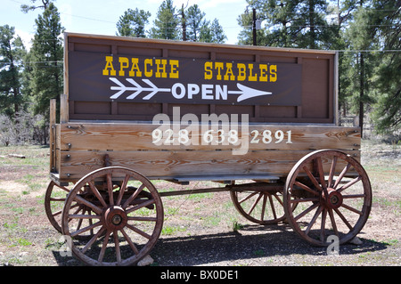 Parco Nazionale del Grand Canyon, Arizona, Stati Uniti d'America Foto Stock