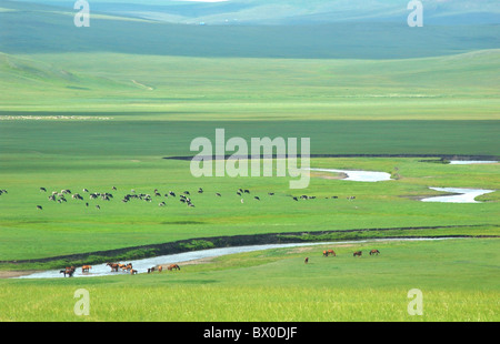 Mergel Fiume, Centro Barag Banner, Hulunbuir, Mongolia Interna Regione Autonoma, Cina Foto Stock