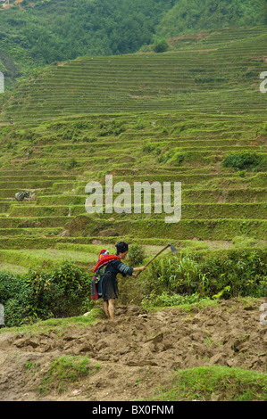 Yao donna con il bambino sulla schiena il lavoro nel campo, Longji campi terrazzati, Longsheng, Guilin, provincia di Guangxi, Cina Foto Stock