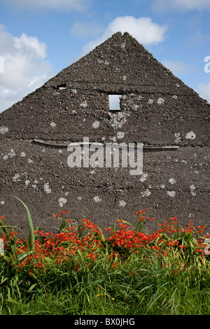 Rovinato cottage in pietra, Skellig ring Contea di Kerry, Irlanda Foto Stock