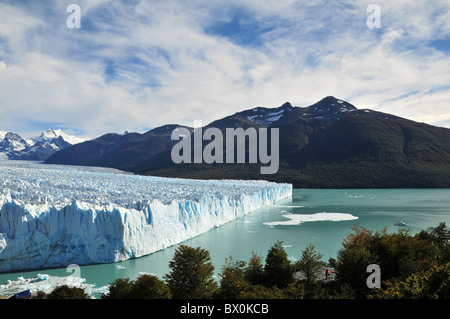 Blue view su lenga faggi, del Lago Argentino, picchi andini e lato nord Ghiacciaio Perito Moreno parete di ghiaccio terminus, Andes Foto Stock