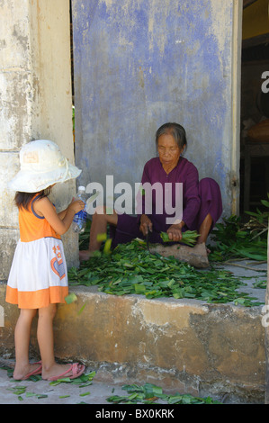 Unidentified nun prepara le erbe mediche sulla luglio 11, 2010 a Cham Island al di fuori di Hoi An, Vietnam. Foto Stock