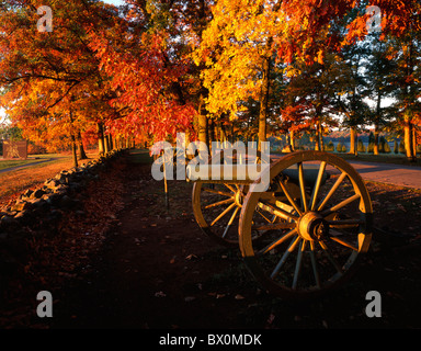 Canoni sul Seminary Ridge Gettysburg National Military Park Pennsylvania USA, di Gary A Nelson/Dembinsky Photo Assoc Foto Stock