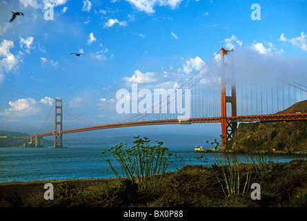 Golden Gate Bridge al mattino con la nebbia che sale, San Francisco, California, USA, anni '90 Foto Stock