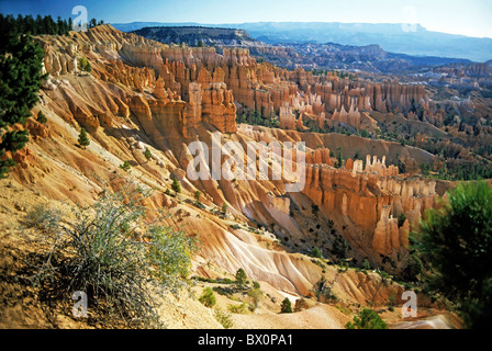 Bryce Canyon National Park, Utah, USA. Foto Stock