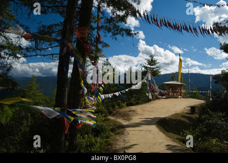 Bandiere di preghiera sul percorso di trekking al monastero di Taktsang o Tiger's Nest tempio. Foto Stock