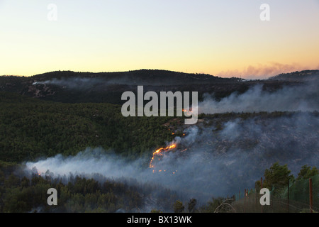 Le fiamme e il fumo spesso origine da un grosso incendio di foresta sul Monte Carmelo nel nord di Israele. Il fuoco consumato gran parte della foresta mediterranea che copre la regione e rivendicato 44 vive, rendendolo più letali nella storia di Israele. Foto Stock