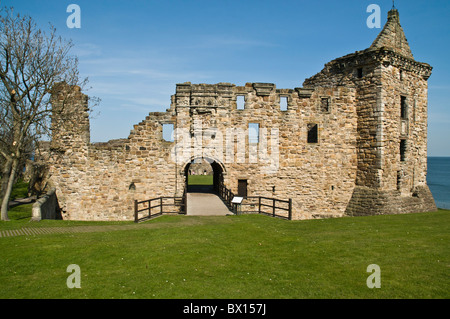 dh ex Bishops Palace ST ANDREWS Fife ingresso castelli scozzesi rovine patrimonio attrazione castello di scozia Foto Stock