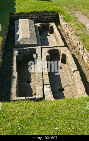 Dh St Andrews Cattedrale St Andrews Fife St Andrews cimitero tomba di pietra bare scottish Scozia Scotland Foto Stock