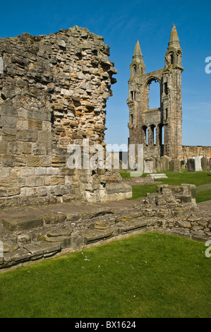 Dh St Andrews Cattedrale St Andrews Fife St Andrews parete est torre e pareti in rovina la rovina la Scozia Foto Stock