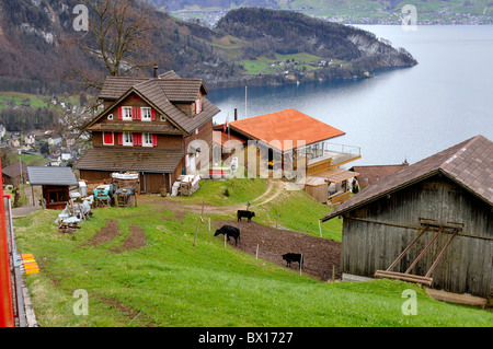 Vista su vitznau svizzera Foto Stock