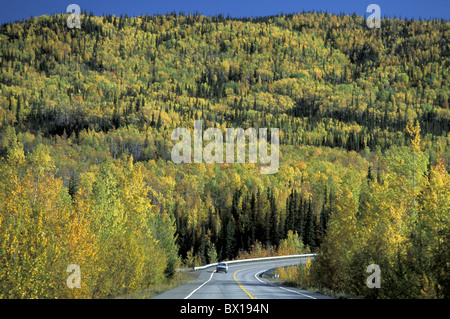 Alaska lungo la Dalton Highway Caduta delle Foglie USA America Stati Uniti foresta paesaggio autunnale strada c Foto Stock