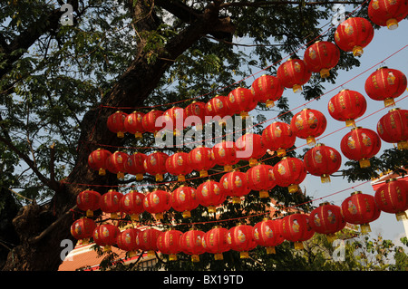 Rosso Lampions asiatica Foto Stock