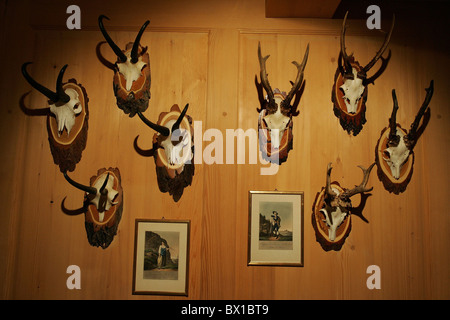 Trofei di caccia di trofei di caccia palchi roebuck camosci foto nostalgia hotel Enstlenalp valle genetico essere Foto Stock