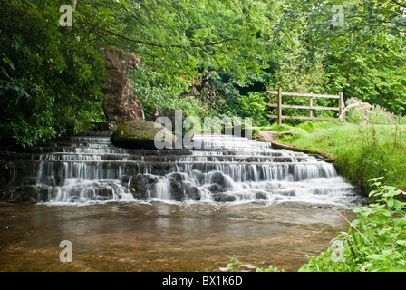 Un ruscello che scorre nella motivazione di Newstead Abbey, Nottinghamshire, Inghilterra, Regno Unito. Foto Stock