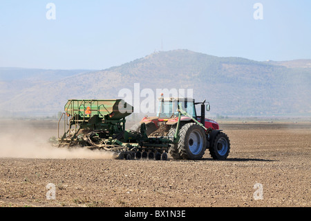 Israele, Valle di Hula, Trattore aratri e coltiva un campo Foto Stock