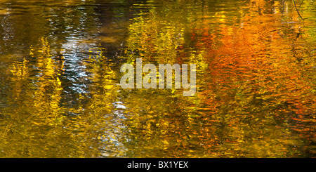 Stati Uniti d'America, Idaho, città di Boise,alberata colori autunnali reflectng nel fiume Boise. Fiume Boise Greenbelt. Foto Stock