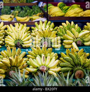 I grappoli di piccole banane in vendita sul mercato notturno di Chiang Mai in Thailandia. Foto Stock