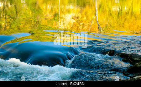 Stati Uniti d'America, Idaho Boise, colori autunnali riflettendo in tne Fiume Boise lungo il fiume Boise cintura verde. Foto Stock