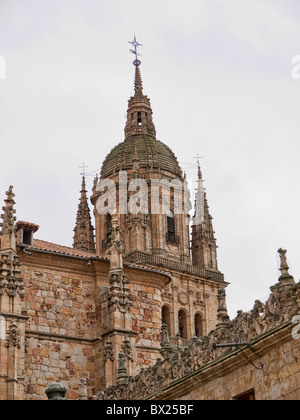 Università di Salamanca dettaglio. Vista dal Patio de las Escuelas Menores. Foto Stock