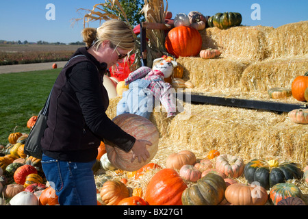 Donna scegliendo una zucca in un orto di zucche in Fruitland, Idaho, Stati Uniti d'America. Signor Foto Stock