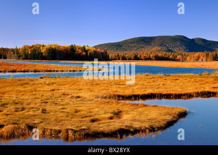 Porto basso Marsh in autunno, Bass Harbor Maine USA Foto Stock