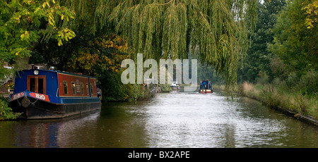 Tempo libero narrowboats ormeggiate e rendendo modo su un canale con sovrastante i rami di salici. Chiara visualizzazione del canale dal centro di davanti Foto Stock