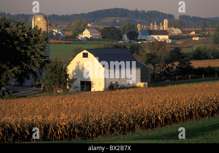 Paradise Pennsylvania USA Stati Uniti America scenario campi fattorie paradiso agricoltura Dutch Country Foto Stock