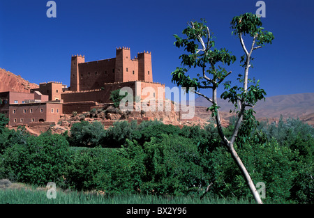 Africa vicino a Boumaine Dades Gorges du Dades Kasbah Marocco Africa del Nord Foto Stock