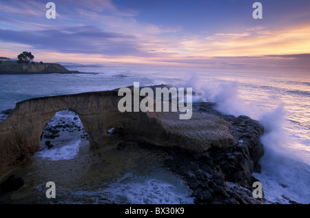 Sbatti rocce di Isola del Sud Sunrise Timaru Nuova Zelanda paesaggio di rocce della costa di erosione Foto Stock