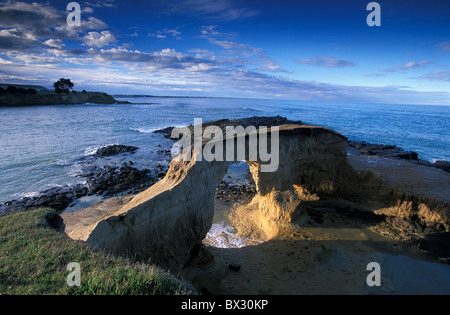 Sbatti rocce di Isola del Sud Sunrise Timaru Nuova Zelanda paesaggio di rocce della costa di erosione Foto Stock