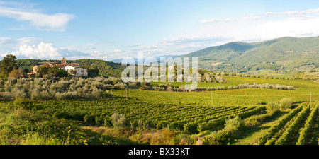 Vista panoramica della Toscana vicino a Greve in Chianti Foto Stock