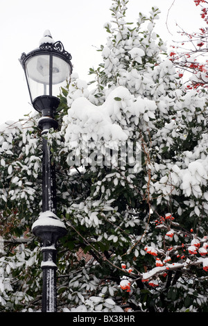 Il vecchio stile lampada posta tra neve coperto di foglie e bacche di colore rosso Foto Stock